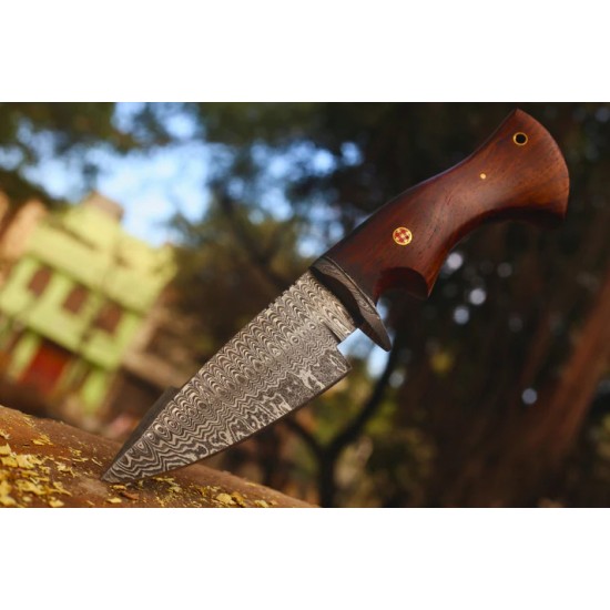 Bobcat Hunting Dagger in Damascus Steel And Wood Handle | With Leather Cover | (Total length 10.3 inches)