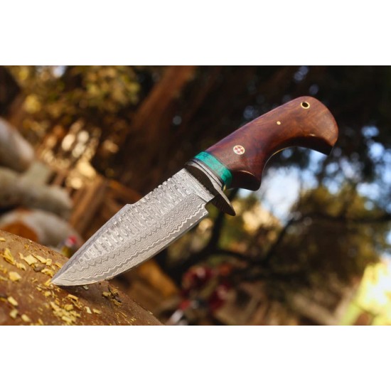 Damascus Bobcat Hunting Dagger – Wood, Brass & Feroza Resin Handle (Total length 10.3 inches ) with Leather Cover