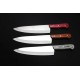 Classic 9.5" Professional Slaughter Knife – Color Wood Handle and 12c27 Stainless steel Blade